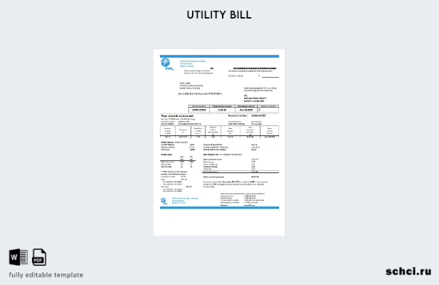 скачать цифровую версию шаблона счета за электроэнергию компании Florida Power &
